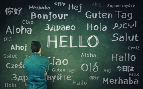 世界语言选项，通识学习AA学位