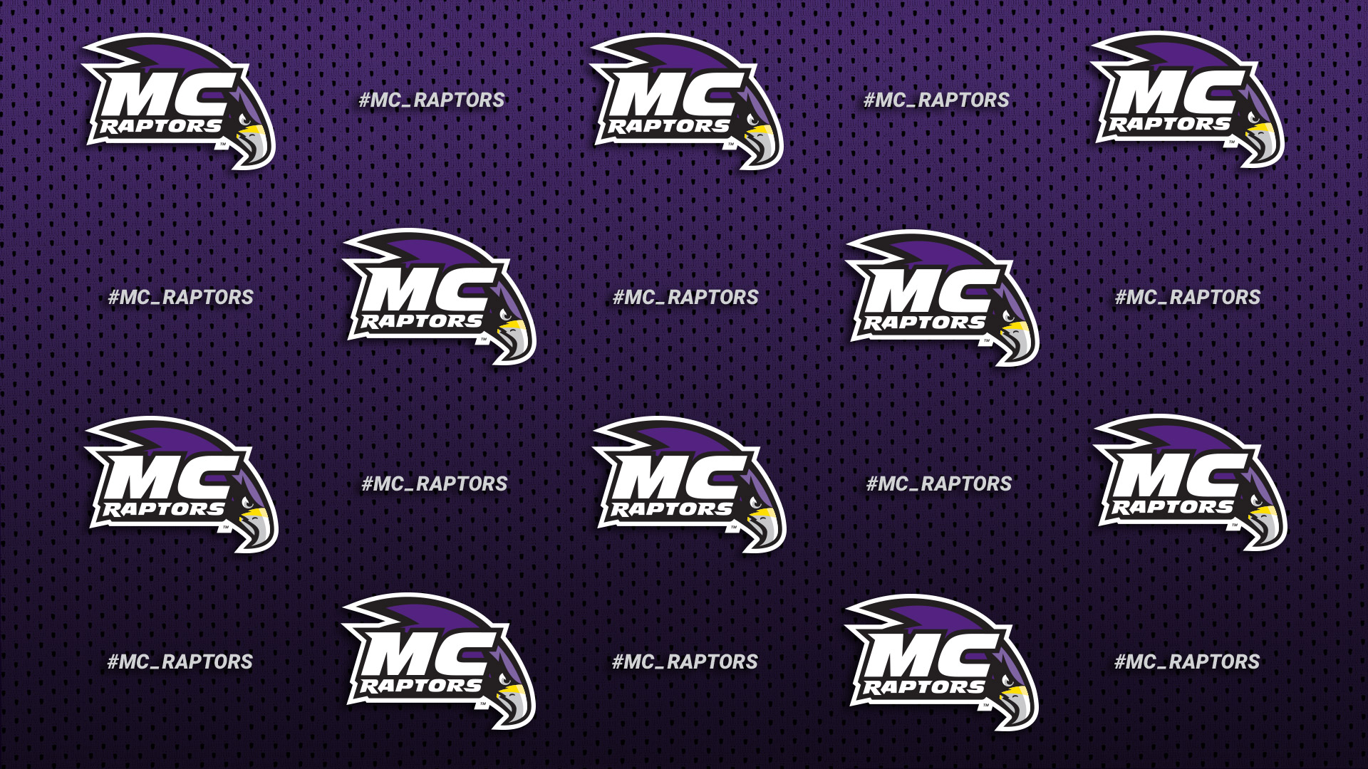 放大背景在紫色与MC猛龙队的标志重复在几行有规律的间隔。