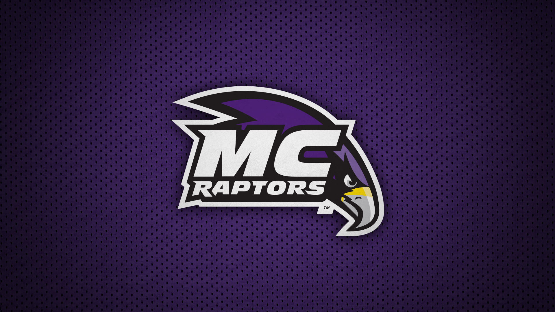 MC猛龙队Logo