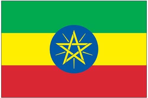 埃塞俄比亚国旗”>
             </div>
             <p><a title=